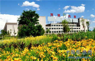药材飘香富农家 甘肃省民乐县中药材产业发展纪实