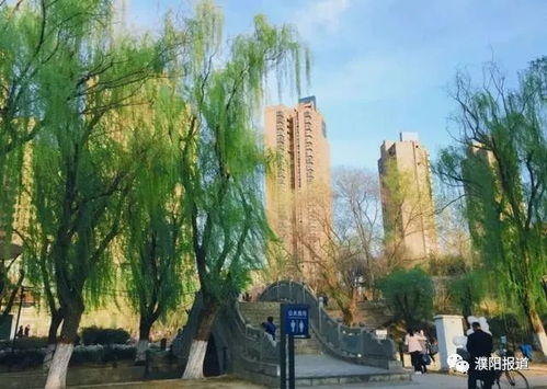 濮阳多个网红踏青景点曝光,好看 还不要钱