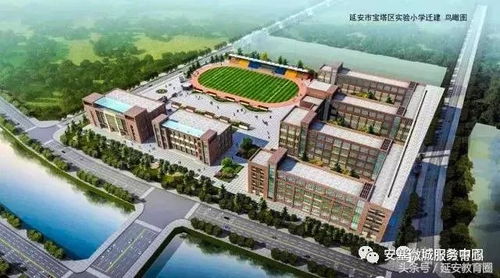 新区实验小学招生公告已出,想让娃到这儿上学的抓紧看