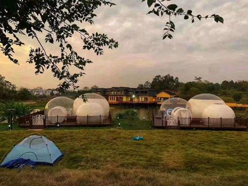 藏不住了 九碗顺庄精品民宿,惊艳登场