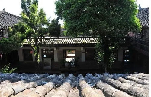 这条高速连接玉溪和楚雄,路上都是美景