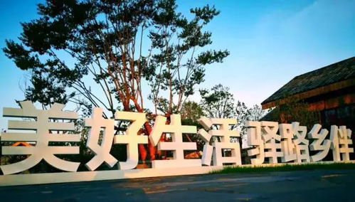湖北这座小镇,将一个传统农业乡村打造成中西部地区农旅小镇中的 网红