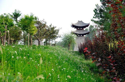 鹿泉的天然氧吧柳仙谷,夏日消暑的圣地