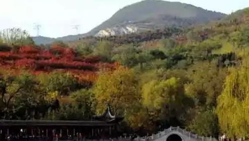 2020五一北京游 灵溪,圣莲山,梦幻紫海香草庄园,北宫森林公园