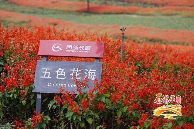 石家庄生活游9路直通鹿泉西部长青!接驳石家庄地铁1号线串联多个热门景点