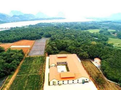 河南火爆一时的景区,日均游客曾达到3万,如今被摘牌又是为何