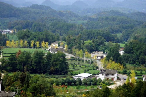 你走过吗 遵义这条农村路美到了全国
