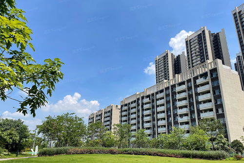 爱了 2024年04月佛山顺德居然还有这些小于10000元 ㎡的宝藏楼盘