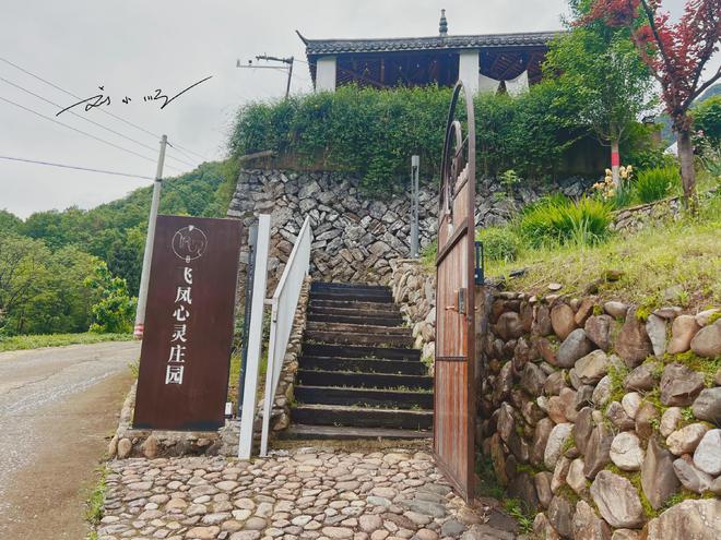 浙江建德这个“网红民宿”,仿佛世外桃源,好多游客都慕名而来